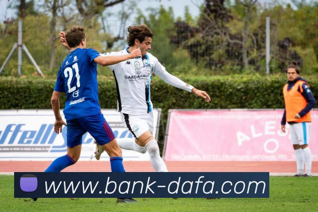 大发娱乐APP 封面图